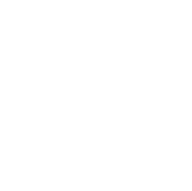 plures jet charter